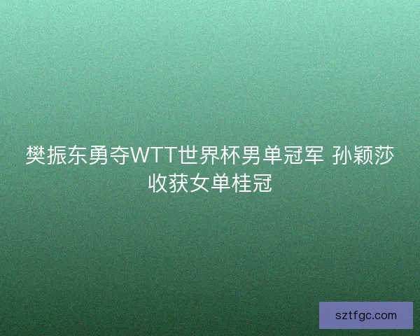樊振东勇夺WTT世界杯男单冠军 孙颖莎收获女单桂冠
